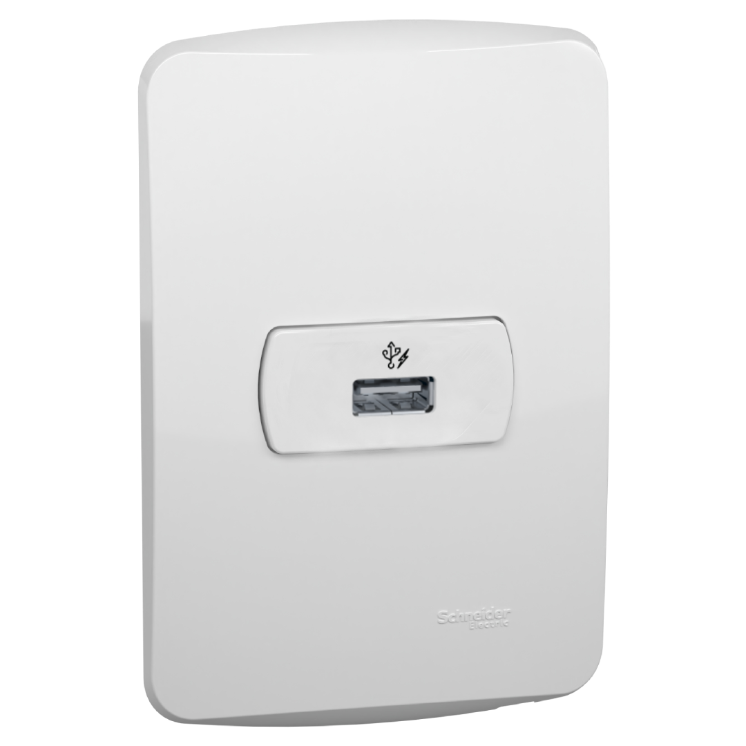 Conjunto Tomada Modulo Usb Carregador 4X2 Br Miluz Schneider