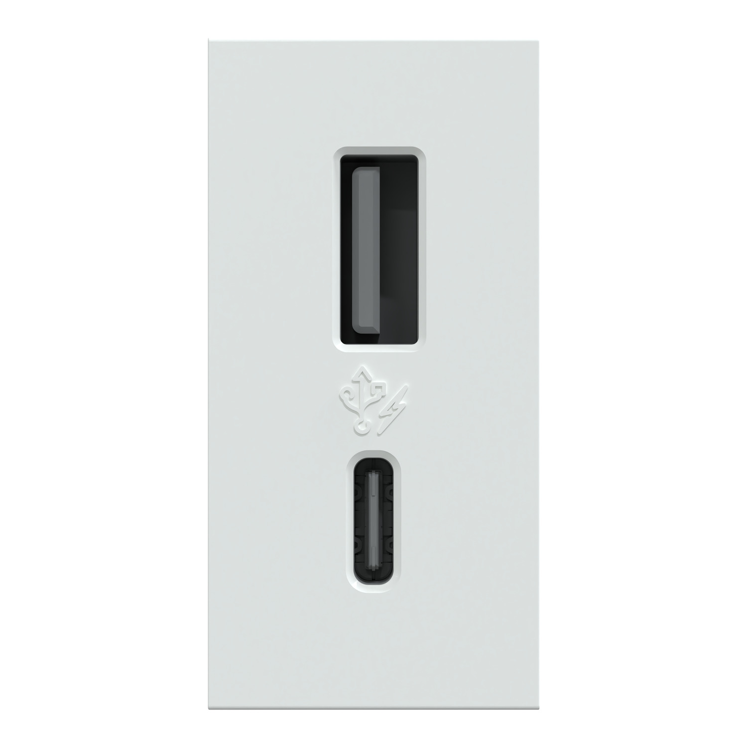 Modulo C/ 2 Usb Tipo A + C 2.4A Br Orion S70547204 Schneider