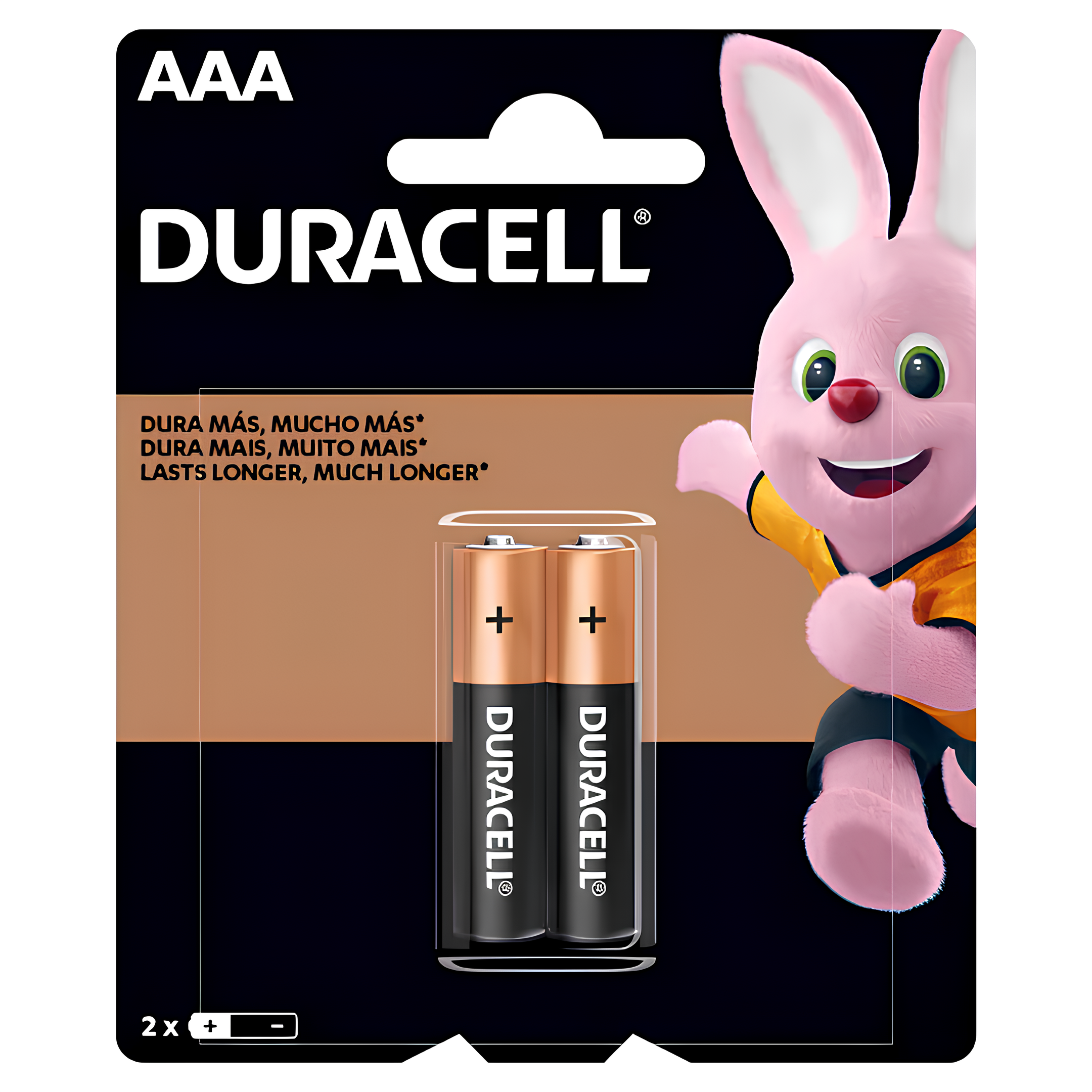 Pilha Alcalina Palito AAA 2 Unidades Duracell