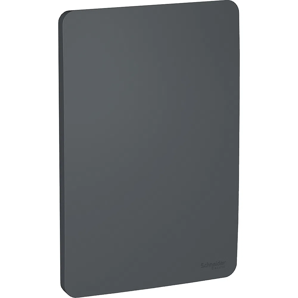 Placa 4X2 Cega Stellar Black Orion S730100294 Schneider
