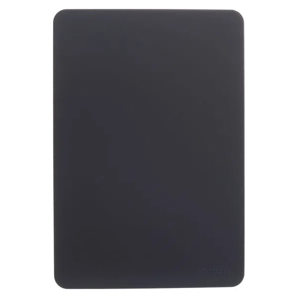 Placa 4X2 Cega Stellar Black Orion S730100294 Schneider