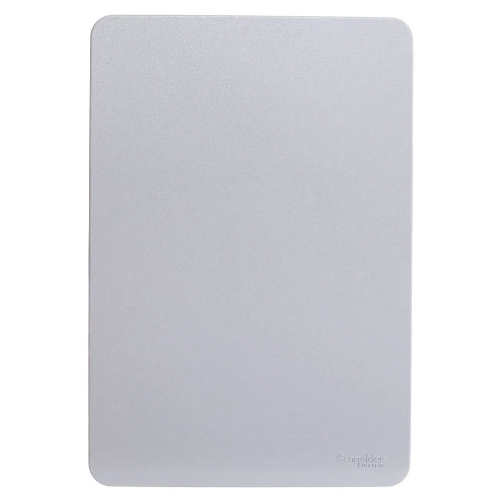 Placa 4X2 Cega Gamma Silver S730100274 Orion Schneider