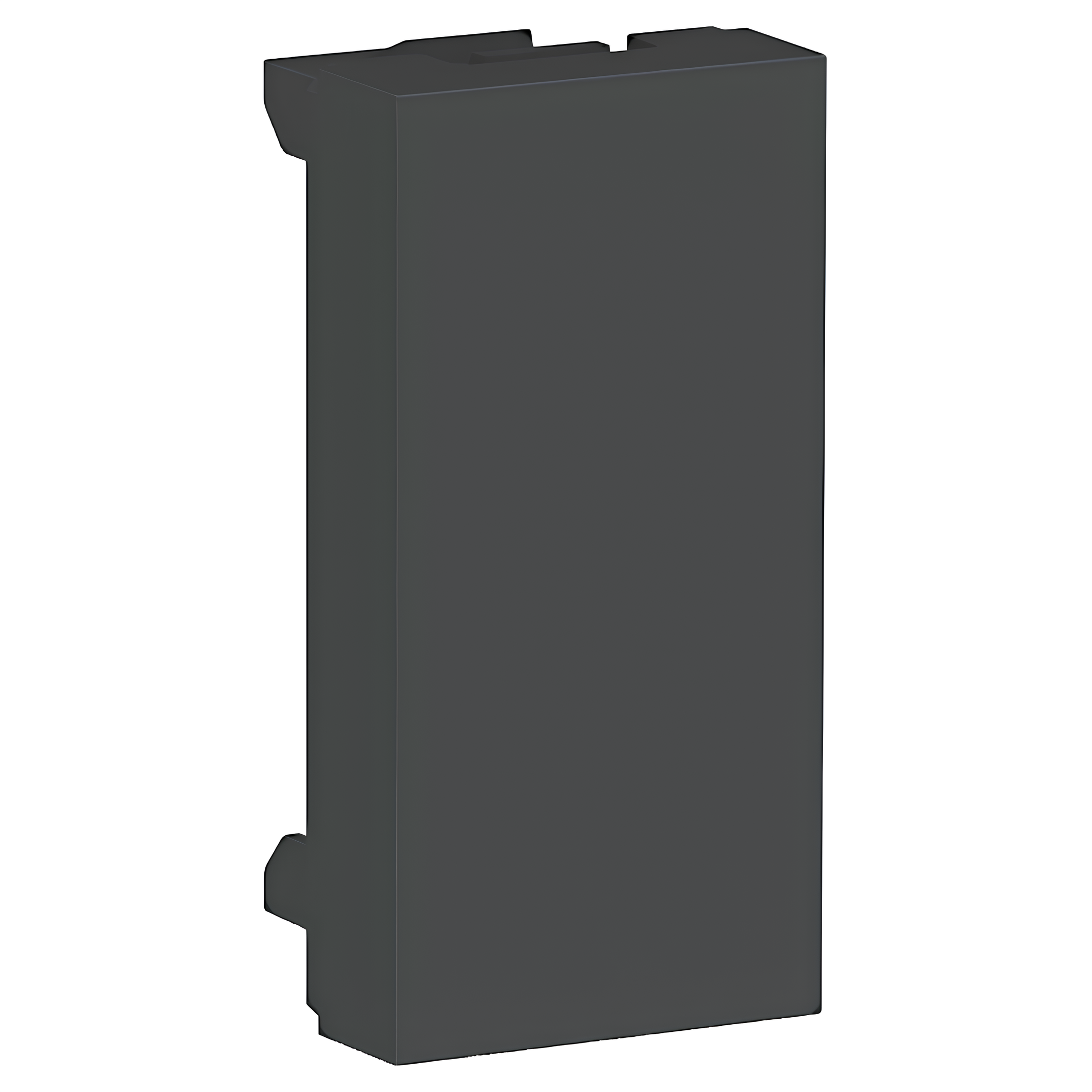 Modulo Cego 2 Peças Grafite Orion S70866194 Schneider