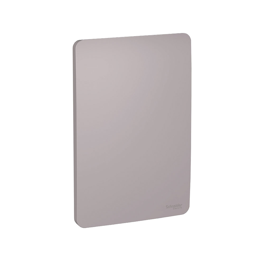 Placa 4X2 Cega Axis Grey Orion S730100224 Schneider