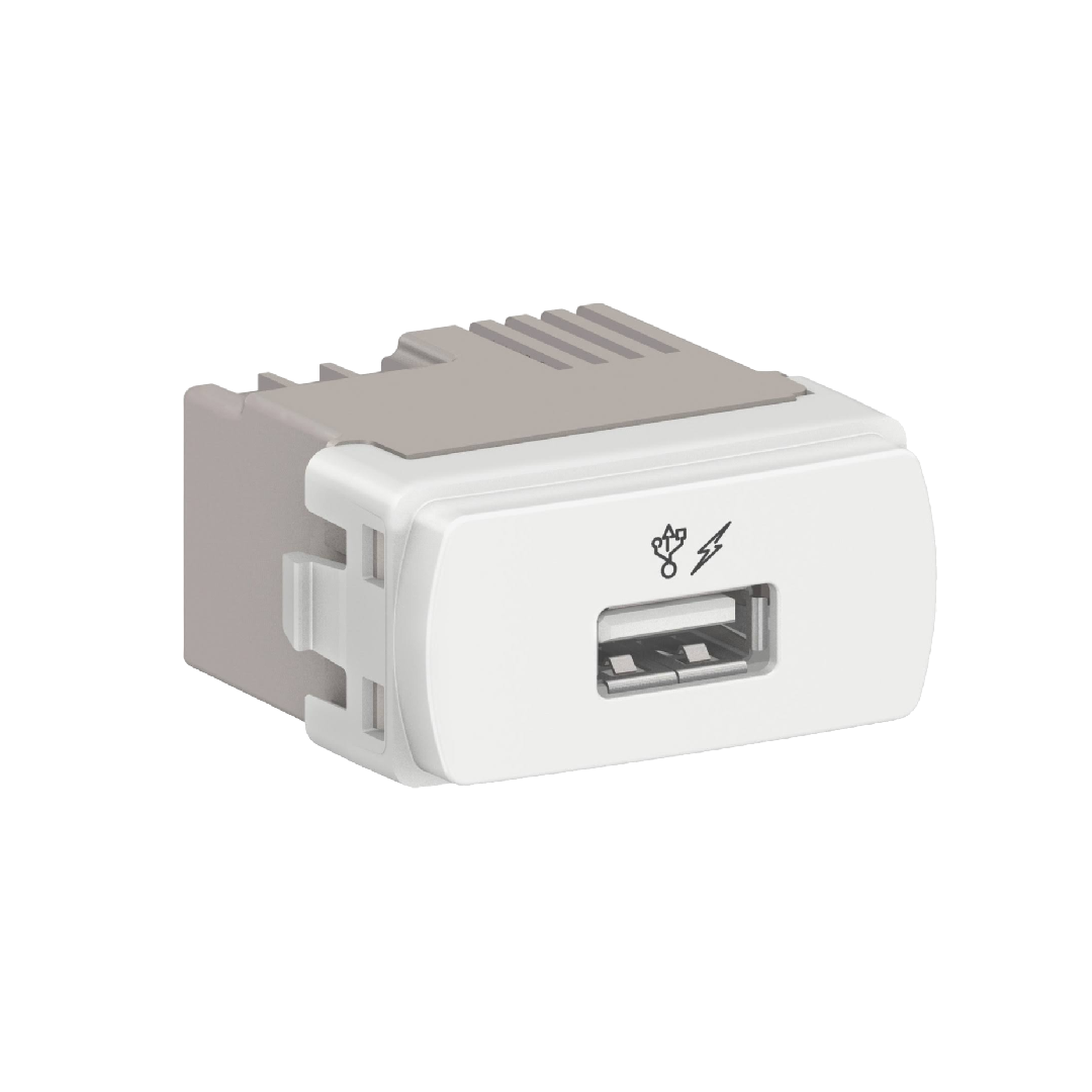 Conjunto Tomada Modulo Usb Carregador 4X2 Br Miluz Schneider