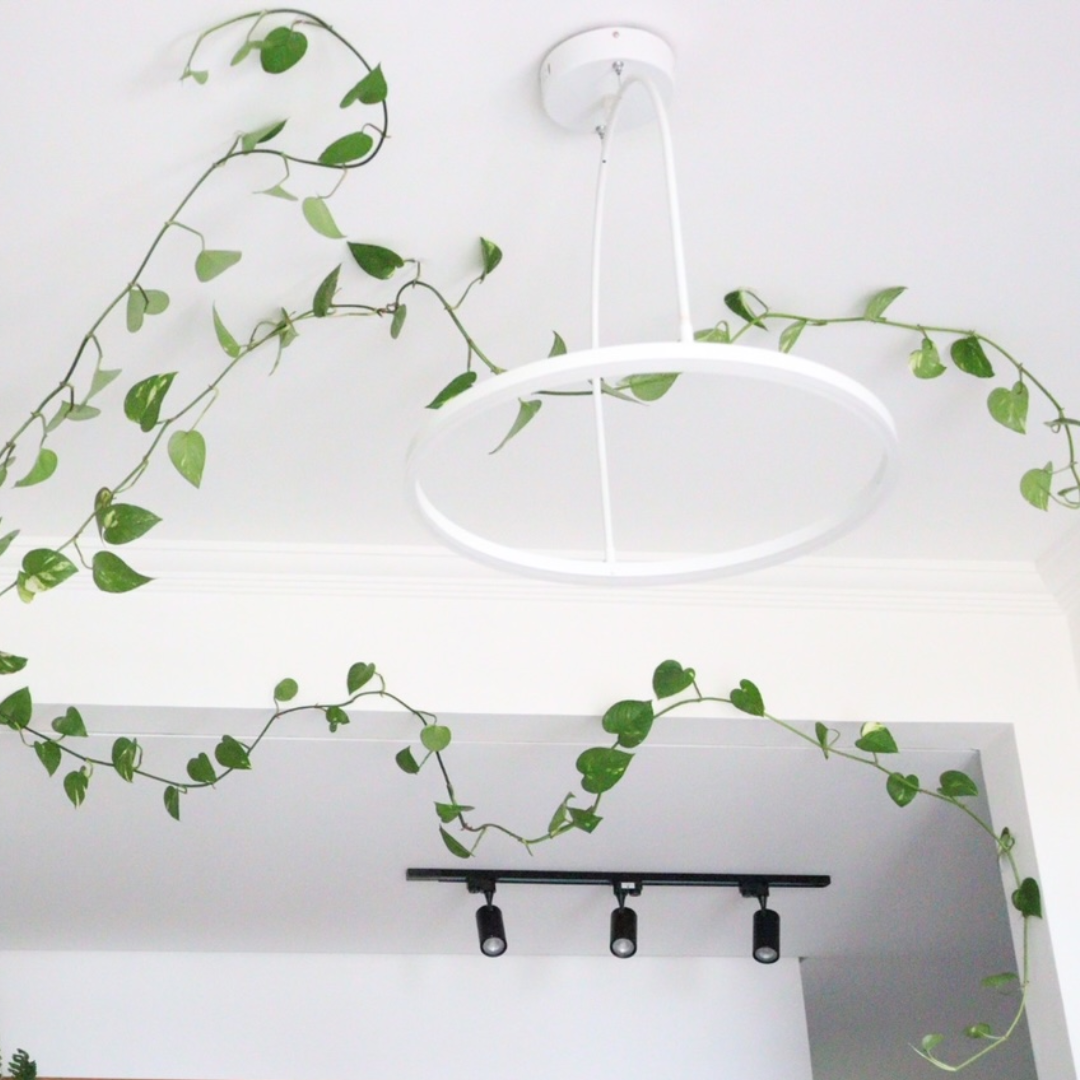 Pendente Led Cage 30Cm Alumínio 12W 3000K 960Lm Bivolt Avant
