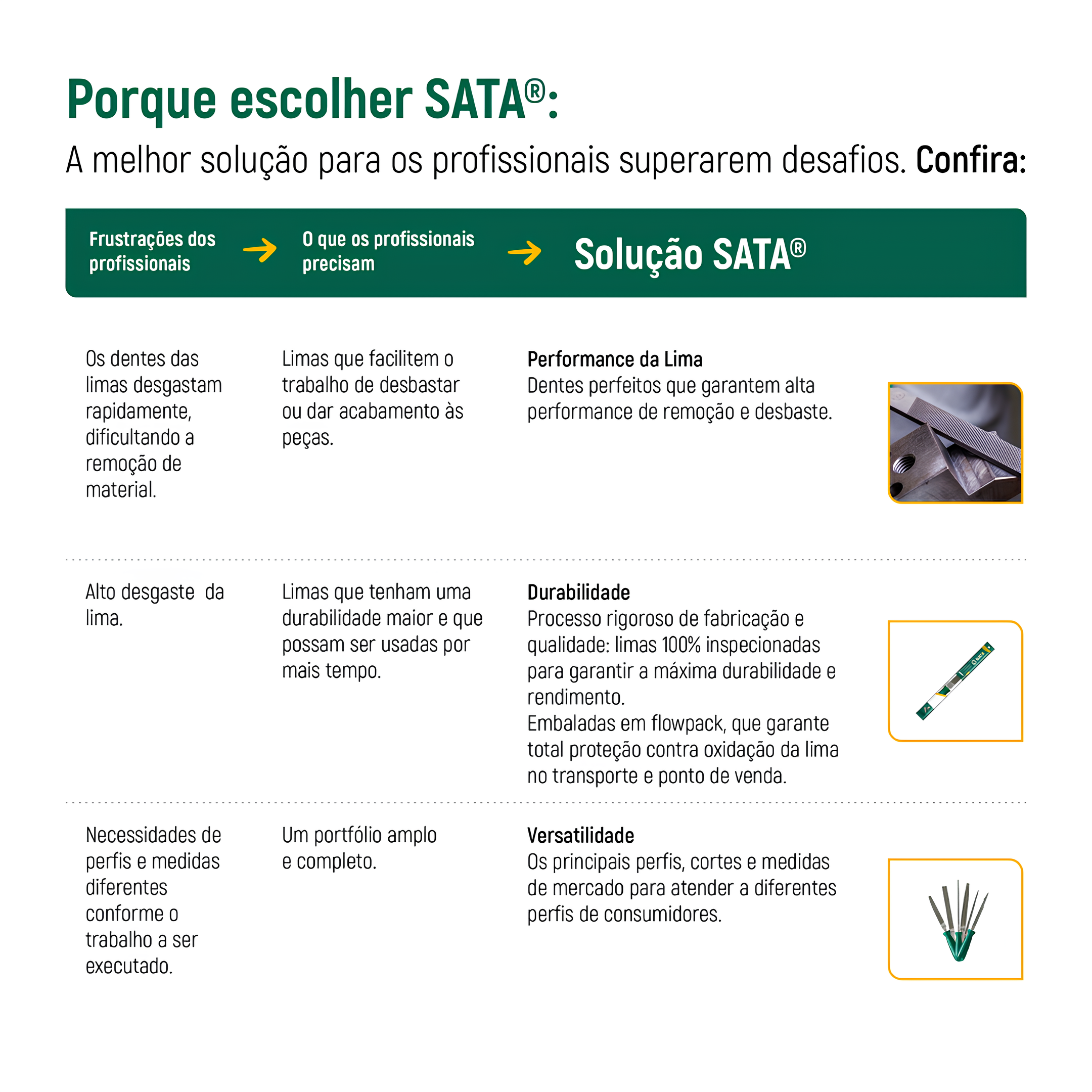 Lima Meia-Cana Murça 10" Com Cabo ST03963L Sata