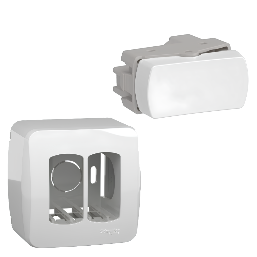 Caixa Sobrepor + 2 Modulos Interruptores 10A Miluz Schneider