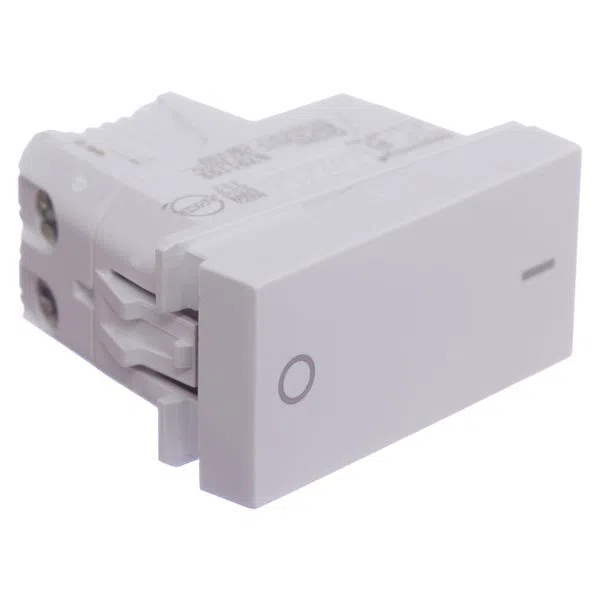 Modulo Interruptor Bipolar Simples 10A 250V Orion S70110204 Schneider